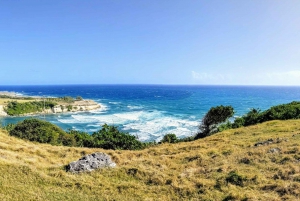 Barbados: Bath to Bathsheba Run or Hike