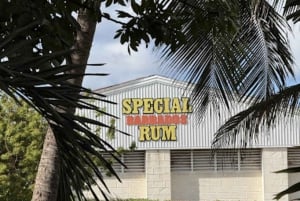 Barbade : course ou randonnée sur le sentier Bath to Bathsheba avec prise en charge