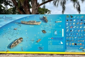 Barbados Stranddag & Schildpadden Zwemervaring