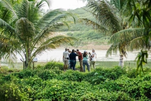 Barbados: Bird Watching Experience