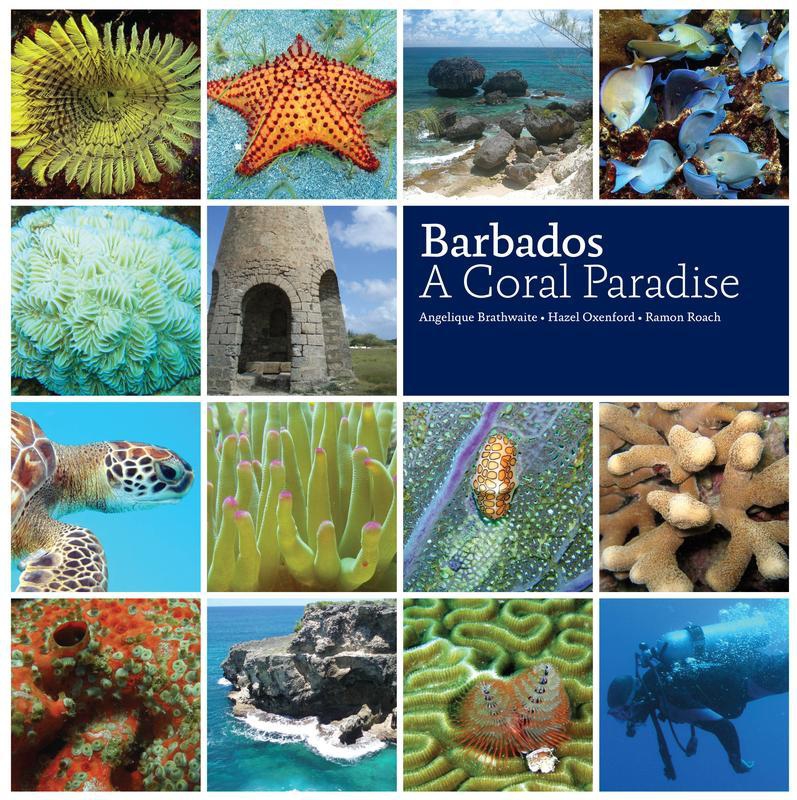 Barbados Books In Barbados My Guide Barbados