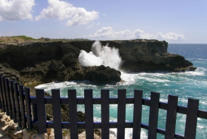 Barbados: Coastal Sightseeing Tour with Lunch and Transfers