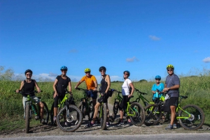 Barbados: eBike Cycling Tour