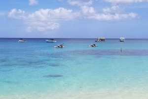 Barbados: Folkestone Coral Reef Clear Kayak Tour