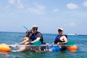 Barbados: Folkestone Coral Reef Clear Kayak Tour