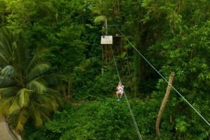 Barbados: Aventura Monkey Zip & Gully Challenge