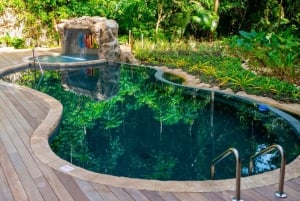 Barbados: Aventura Monkey Zip & Gully Challenge