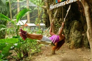 Barbados: Aventura Monkey Zip & Gully Challenge