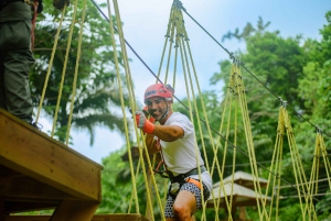 Barbados: Aventura Monkey Zip & Gully Challenge