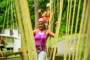 Barbados: Aventura Monkey Zip & Gully Challenge