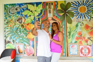 Barbados: Aventura Monkey Zip & Gully Challenge