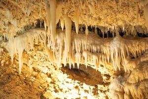 Barbados: tour door Harrison's Cave en Hunte's Gardens