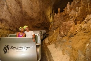 Barbados: Harrison's Cave Adventure Park Pass