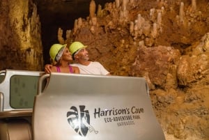 Barbados: Harrison's Cave Adventure Park Pass