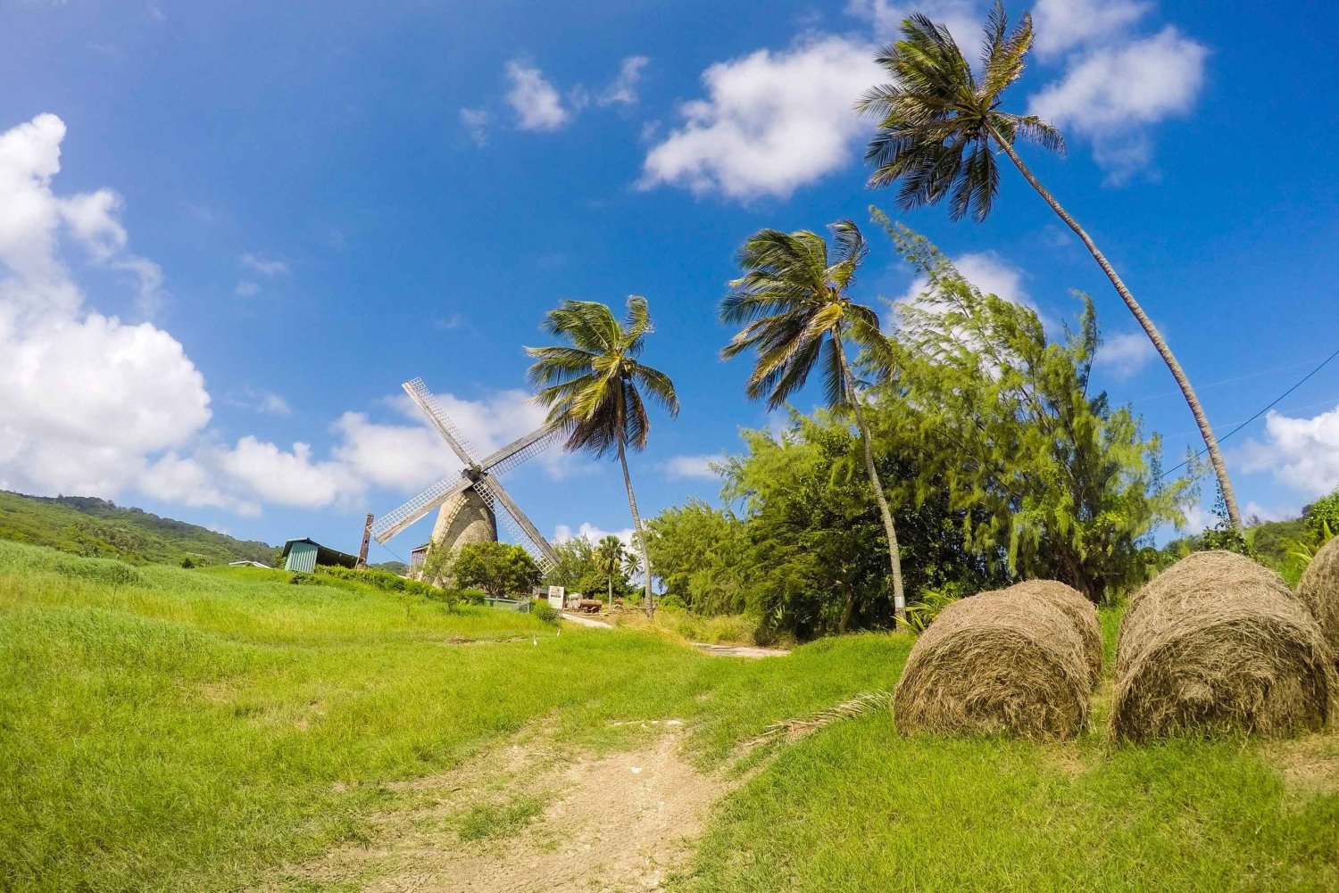 Barbados Highlights Tour