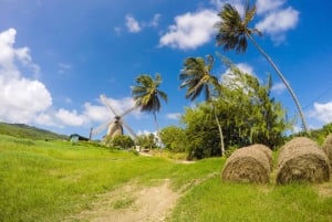 Barbados Highlights Tour