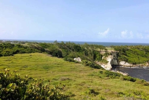 Barbados: Hiking and Sightseeing Tour