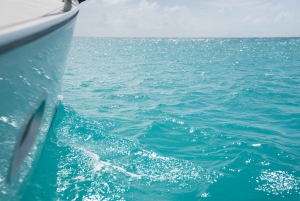 Barbados: Seglingsäventyr i liten grupp på en monohull