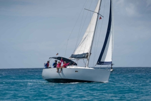 Barbados: Seglingsäventyr i liten grupp på en monohull