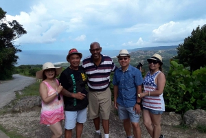 Barbados: Island Tour with Animal Flower Cave and Lunch