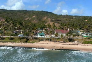 Barbados: Island Tour with Animal Flower Cave and Lunch