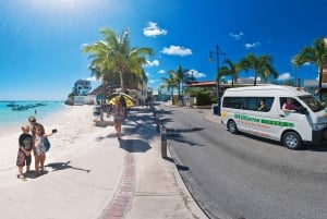 Barbados: passeio pela ilha com caverna de flores de animais e almoço