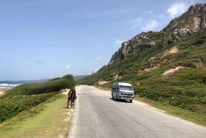 Barbados: Excursión por la isla con cueva de flores de animales y almuerzo