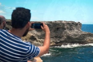 Barbados: wycieczka po wyspie z jaskinią Animal Flower i lunchem