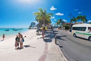 Barbados: Island Tour with Animal Flower Cave and Lunch
