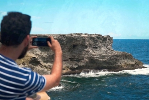 Barbados: Island Tour with Animal Flower Cave and Lunch