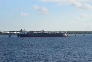 Barbados: Island Tour with Cave, Monkeys, and Boat Ride