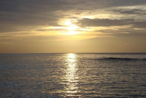 Barbados: Island Tour with Cave, Monkeys, and Boat Ride