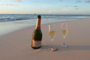 Barbados: Island Tour with Cave, Monkeys, and Boat Ride