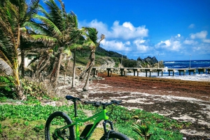 Barbados: Northern Cliffs and Canefields Hike and eBike Tour