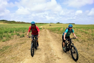 Barbados: Northern Cliffs and Canefields Hike and eBike Tour