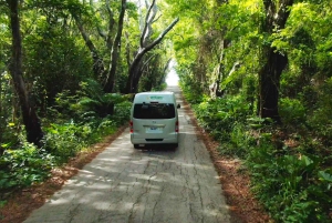 Barbados: Private Half-Day Island Tour
