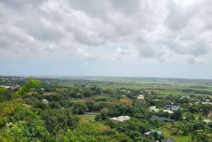 Barbados - Tour guiado panorámico privado