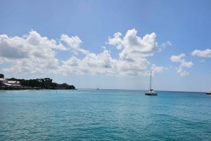 Barbados - Tour guiado panorámico privado