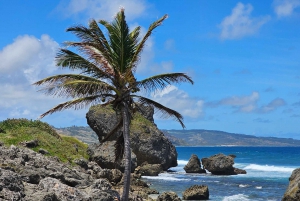 Barbados - Tour guiado panorámico privado