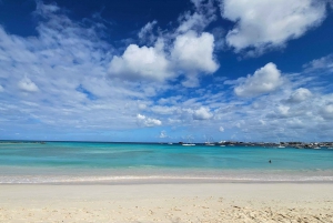 Barbados - Tour guiado panorámico privado