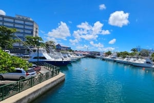 Barbados - Tour guiado panorámico privado