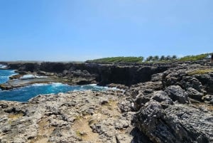 Barbados - Tour guiado panorámico privado