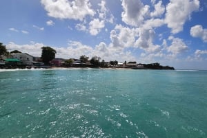 Barbados - Tour guiado panorámico privado