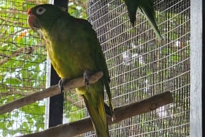 Barbados: Yksityinen maisemakierros saarella