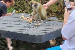 Barbados: Yksityinen maisemakierros saarella