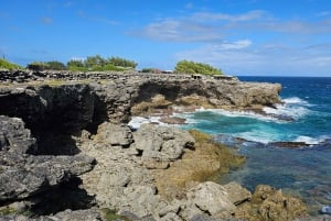 Barbados: Yksityinen maisemakierros saarella