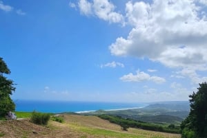 Barbados: Yksityinen maisemakierros saarella