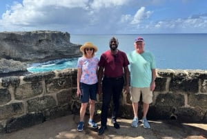 Barbados: Yksityinen maisemakierros saarella