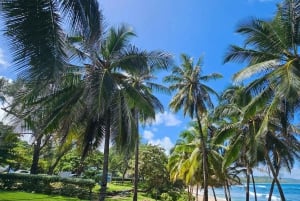 Barbados: Yksityinen maisemakierros saarella