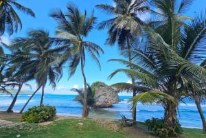 Barbados: Yksityinen maisemakierros saarella